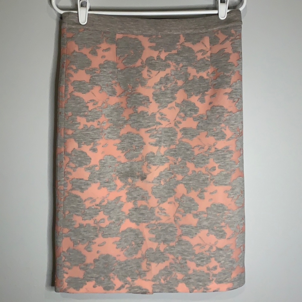 Special Catherine Malandrino blush pink and gray skirt